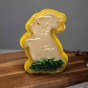 Easter Bunny Gift Box